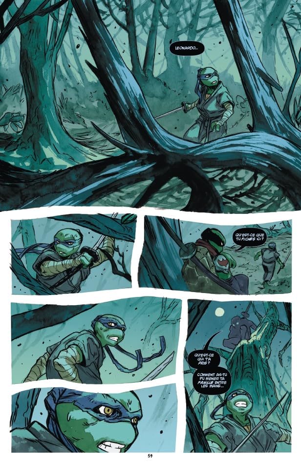 Planche de comics dans laquelle on voit la tortue Ninja Leornardo qui semble perdue dans la forêt, face à des éléments mystiques